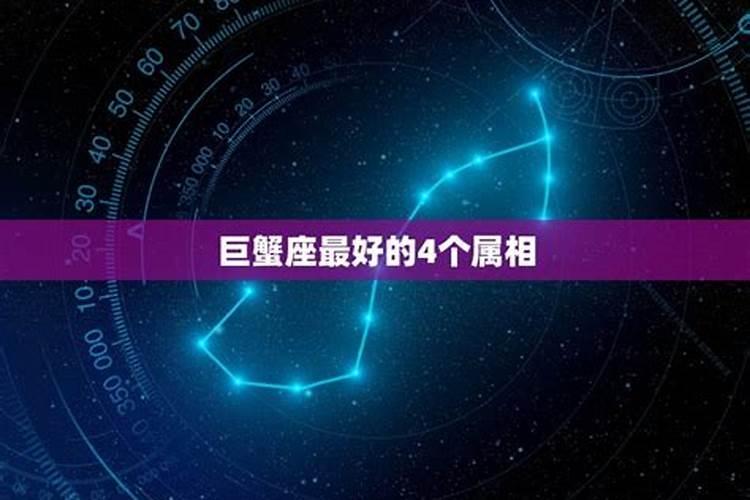 阳历五月是什么星座