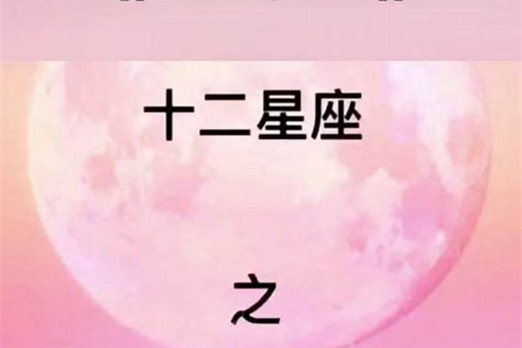 十二星座适合养什么宠物