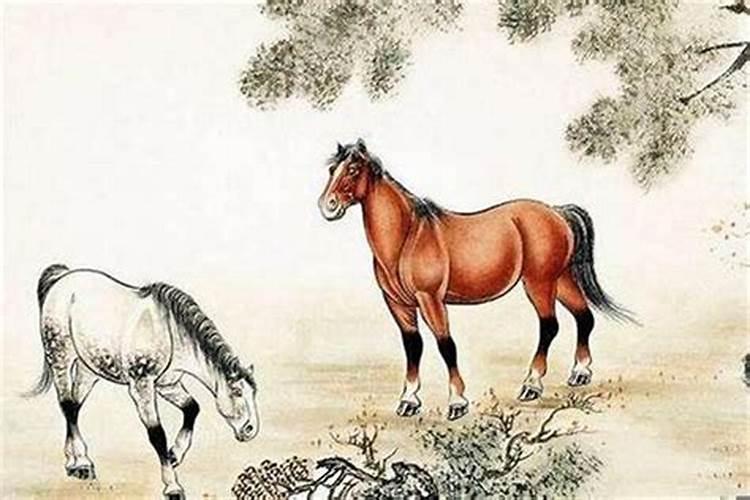 马跟马的婚姻能长久吗