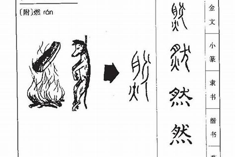 橪字五行属什么