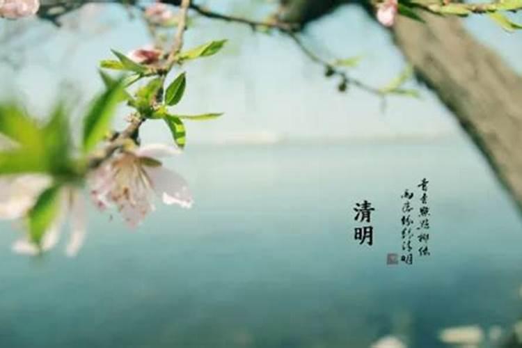 清明节忌讳什么生肖