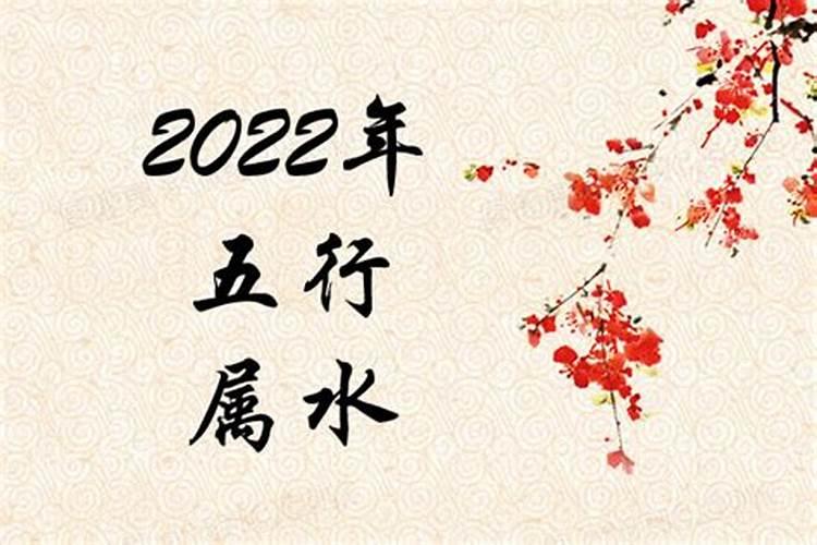 2022年属什么