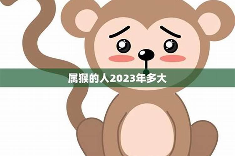 属猴的2022年多大