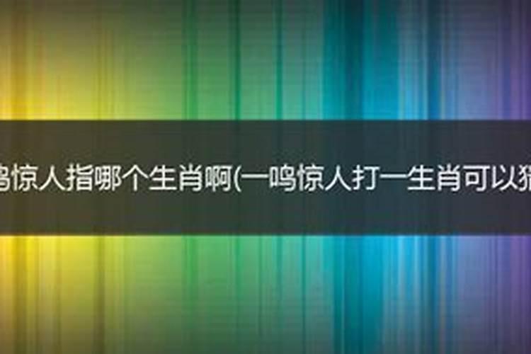 属马的人今年运势怎么样2020