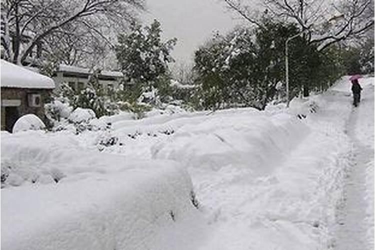 梦见下大雪是什么征兆女性解梦