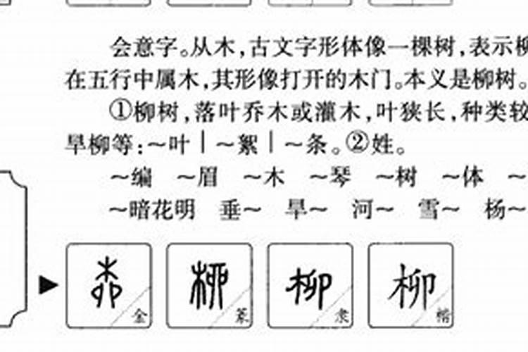 柳字五行属什么