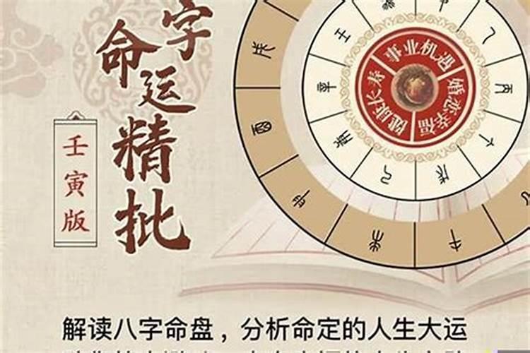 棺材代表什么生肖