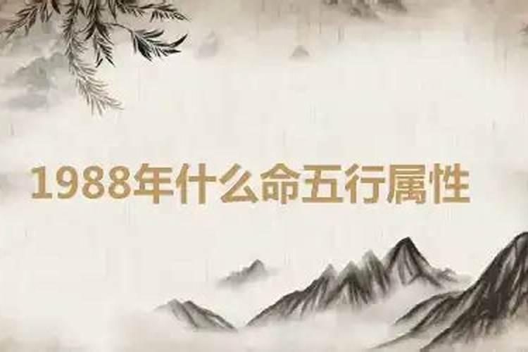 1988五行属什么命年