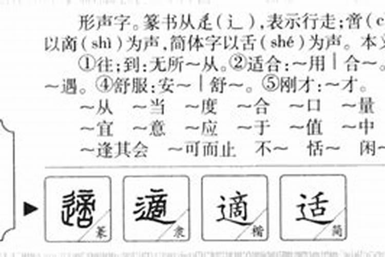 适字五行属什么