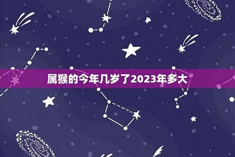 属猴的2023年多大