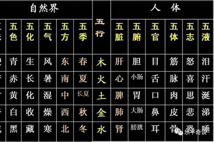 婵字五行属什么