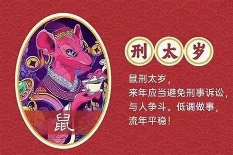 2023年属鼠人犯太岁怎么破解