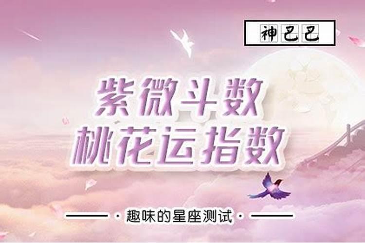 桃花运怎么破解