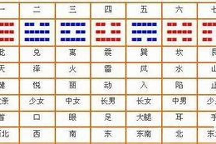 塑料五行属什么