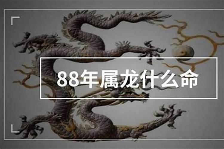 88年属龙啥命