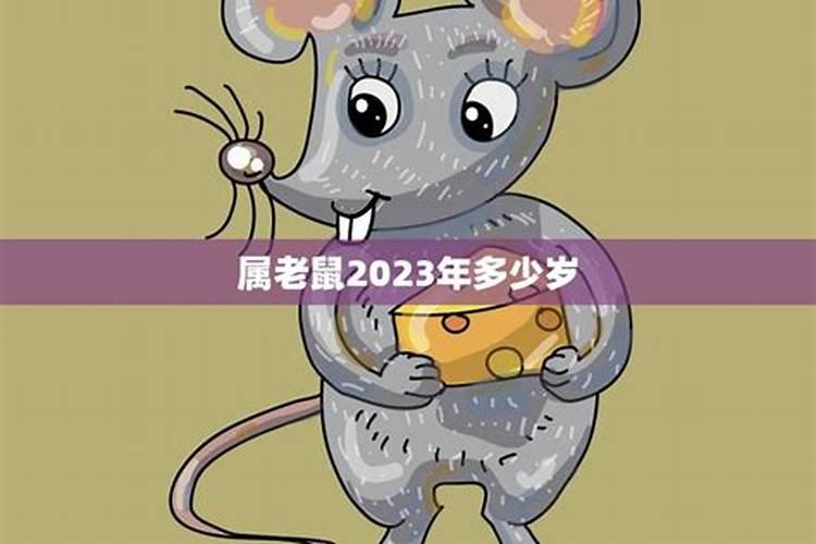 2020年属鼠年吗