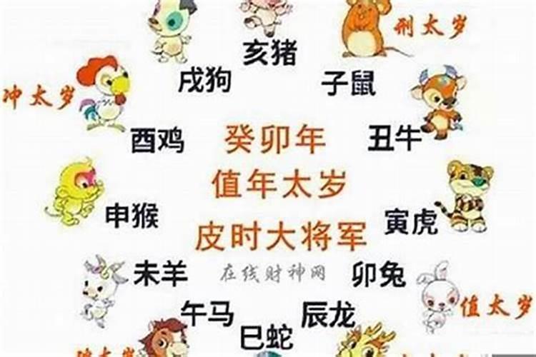 本命年的今年多少岁