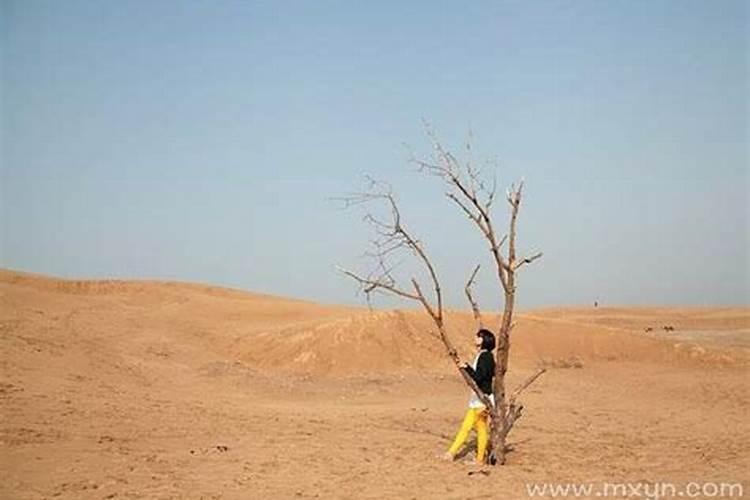 女人梦见刮风尘土飞扬自己站在风中