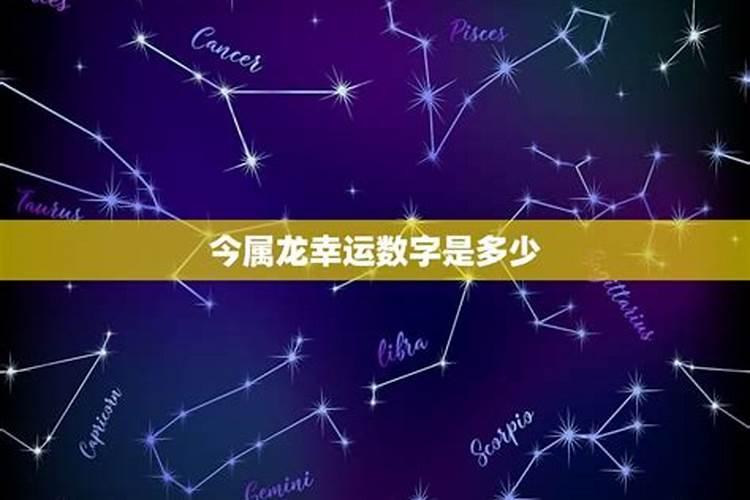 属龙幸运数字是多少