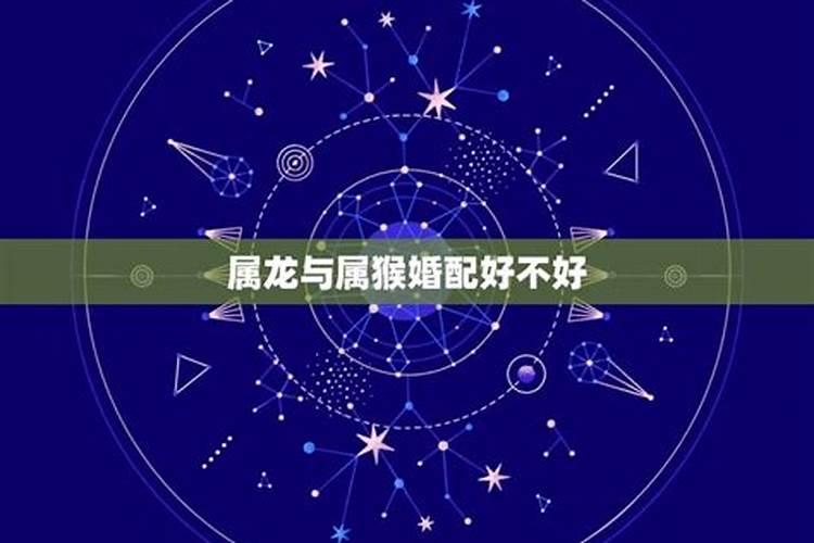 科字五行属什么的属性