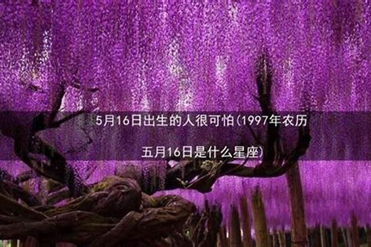 1997年农历5月5日是什么星座