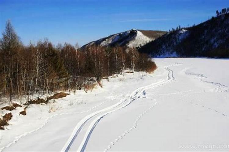 梦到雪地里滑冰是什么意思