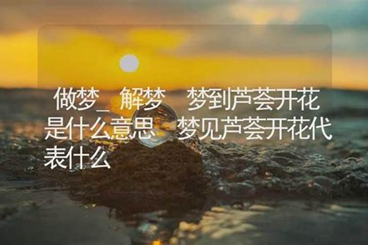 梦见开花是什么意思周公解梦