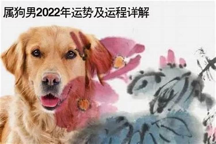 2022年82年属狗运势