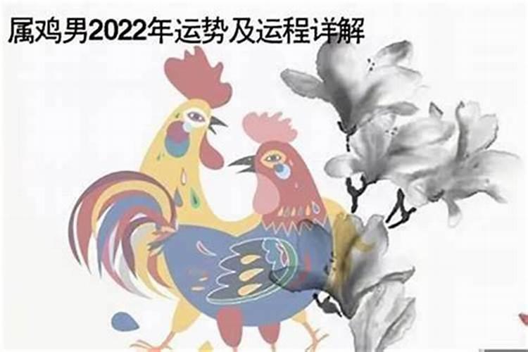 今年19岁属什么生肖婚配