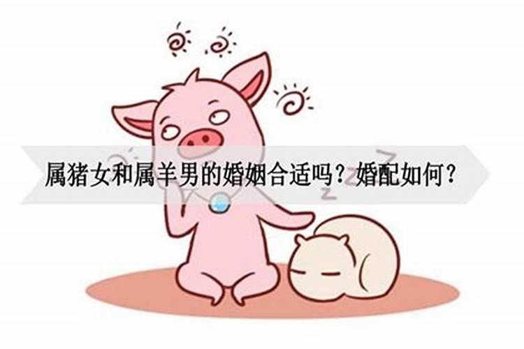 属羊和属猪的子女会怎么样？属相男羊女猪好不好