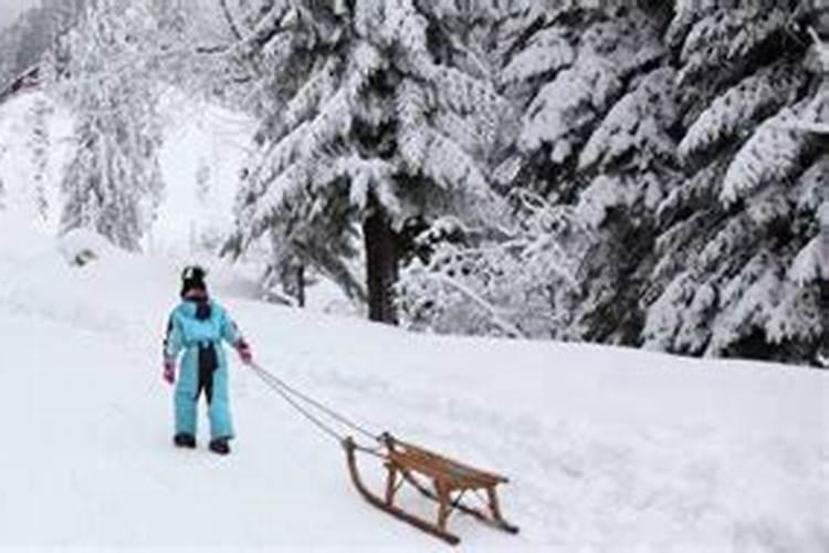 梦见雪从山坡往下滑