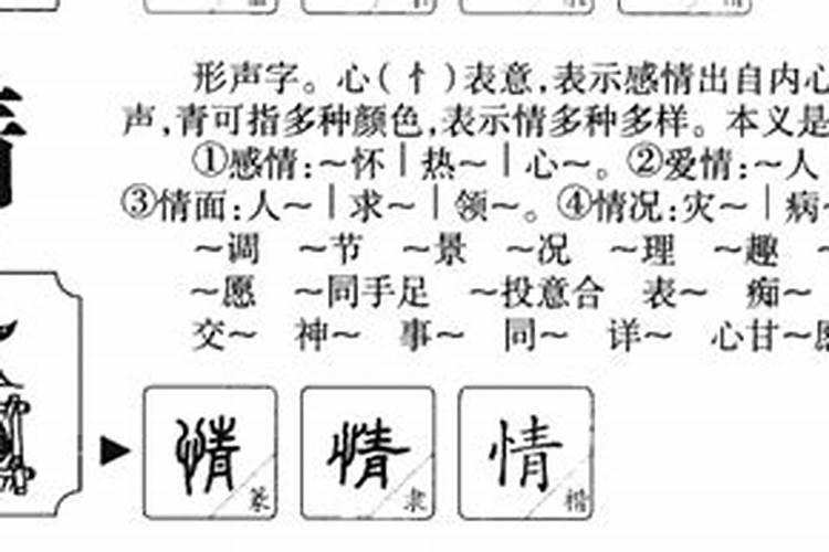 情字五行属什么