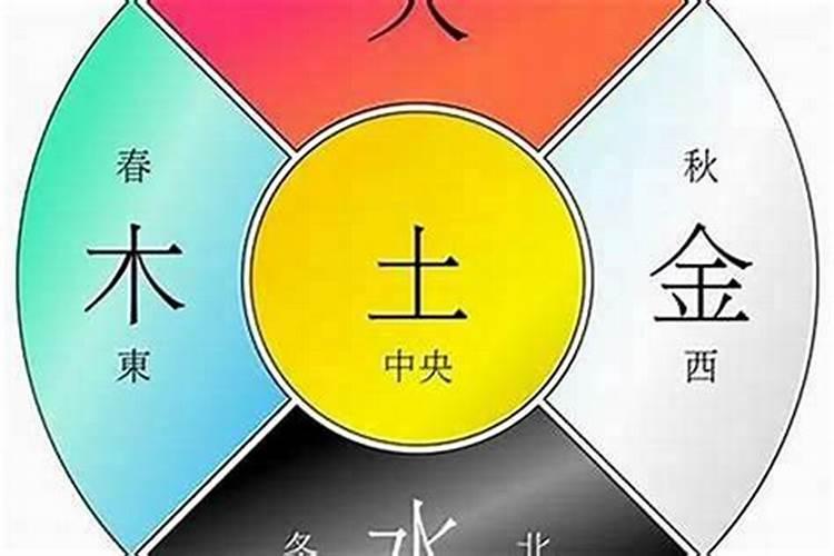 怎样算五行什么命