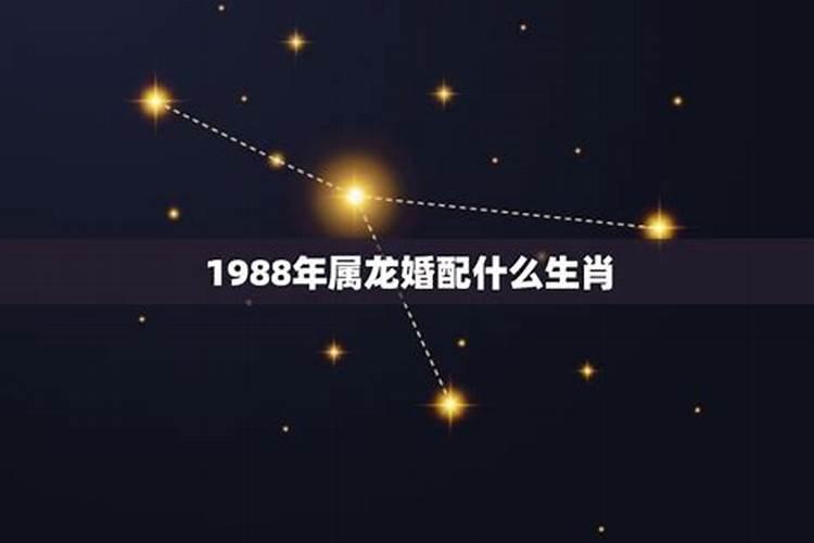 1988年什么命婚配