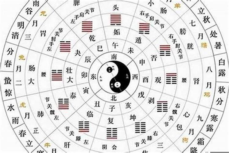 丙辰日柱不同时辰（辛丑时辰是什么时间）