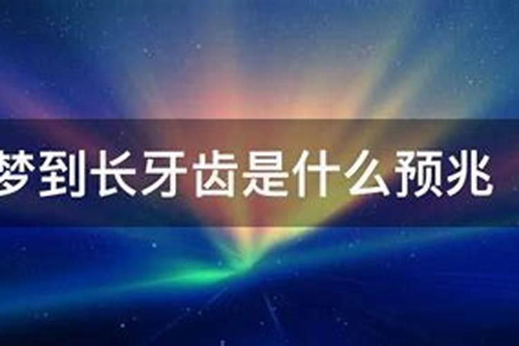 什么星座脾气最好