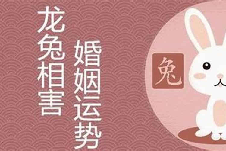 87年属兔后半生婚姻(87年属兔三大喜事如何)