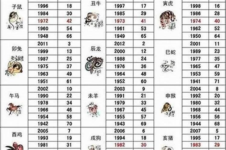 54年属什么生肖2023年多大