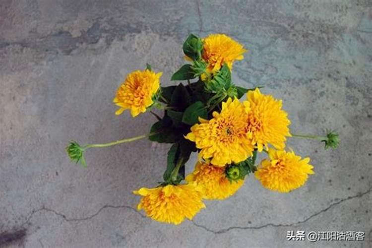 梦见黄花是什么意思