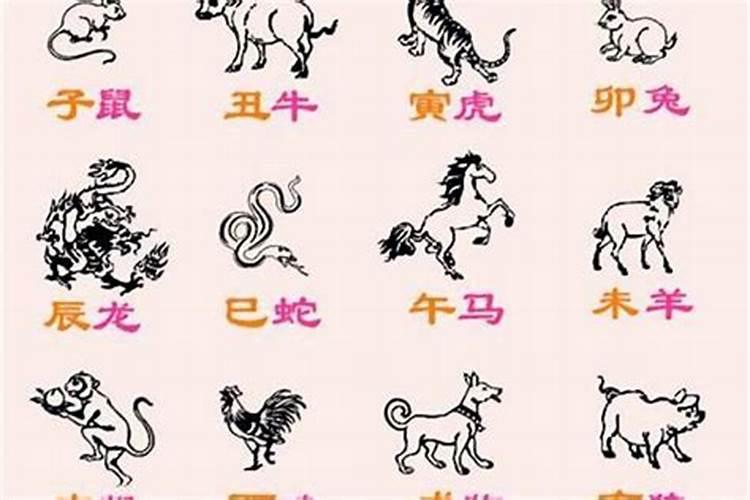 十二生肖命好的月份（属鸡生个猪宝宝好不好）