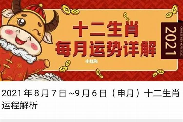 十二生肖命好的月份（属鸡生个猪宝宝好不好）