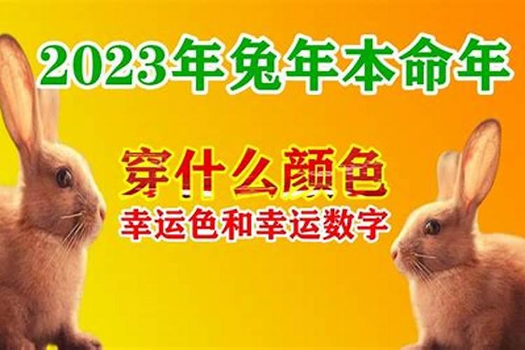 属兔本命年穿什么颜色的衣服好2023