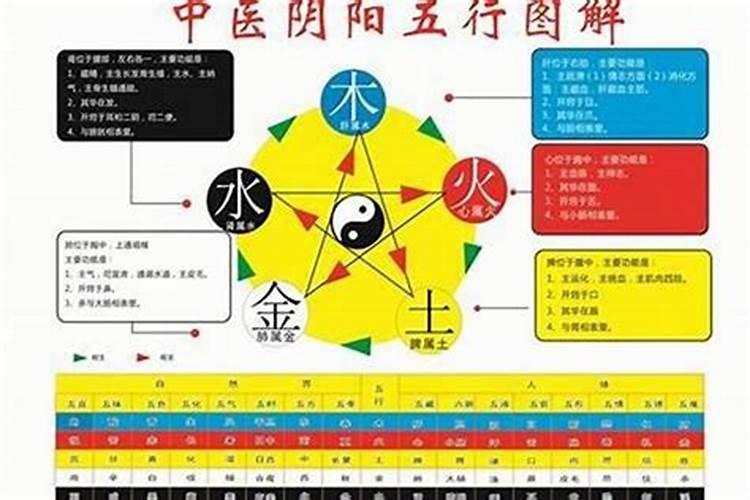 自身五行属性怎么看