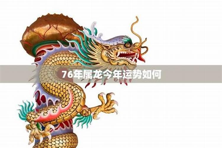 76年的龙今年财运好吗