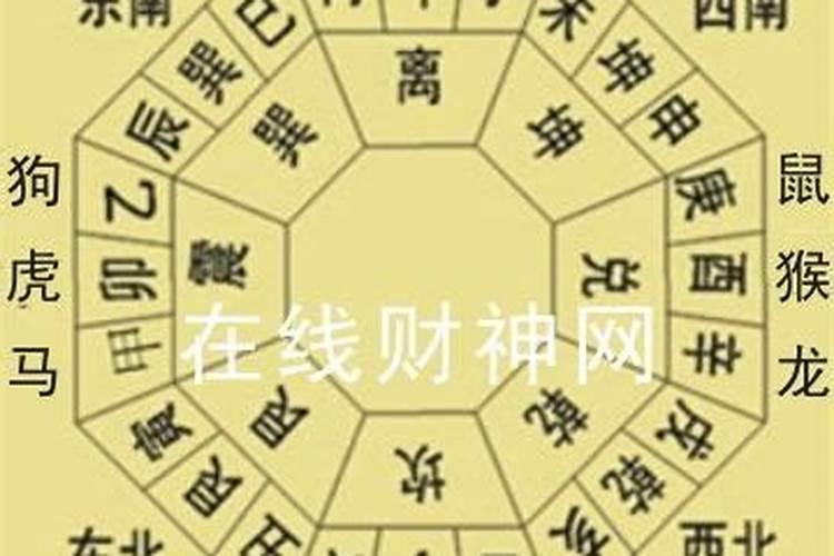 霸王是指什么生肖