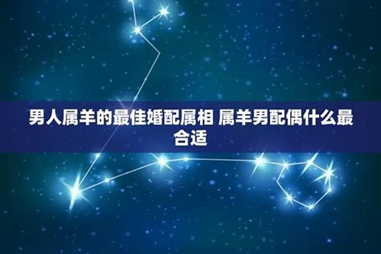 属羊男婚姻配属什么最佳？男属羊的最佳配偶属相