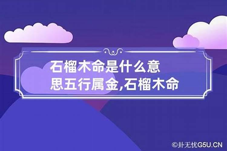 梦见死人复活打什么奖