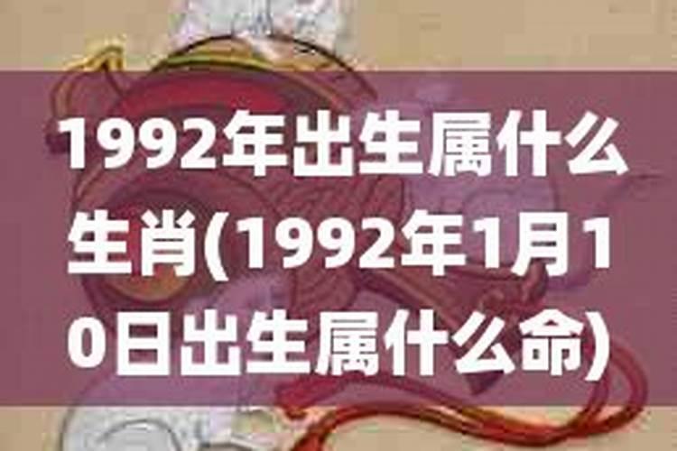 1992生肖猴五行属什么属性