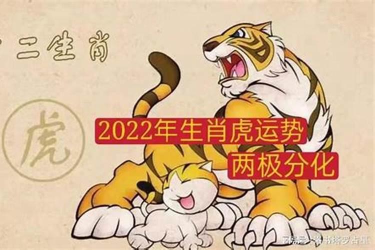 2022年生肖女虎运势