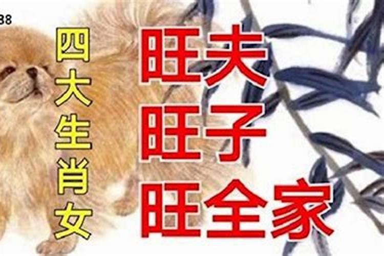 旺夫旺子旺全家的五大生肖女(属猪女婚配适合哪些属相)